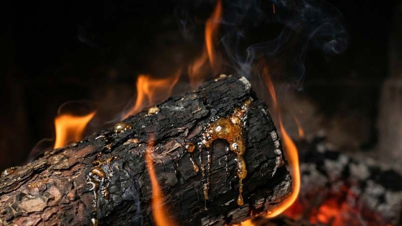 почему нельзя топить камин смолистыми дровами выделение смолы